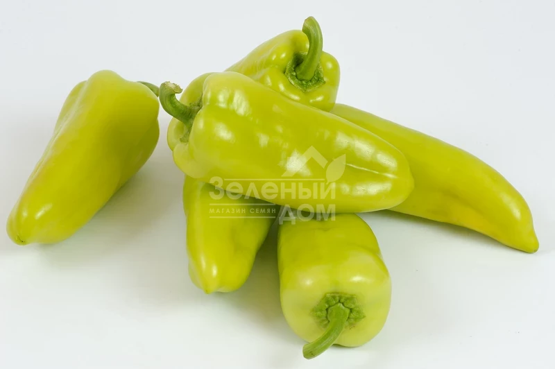 Пироуэт F1 / Pirouet F1  фото 3