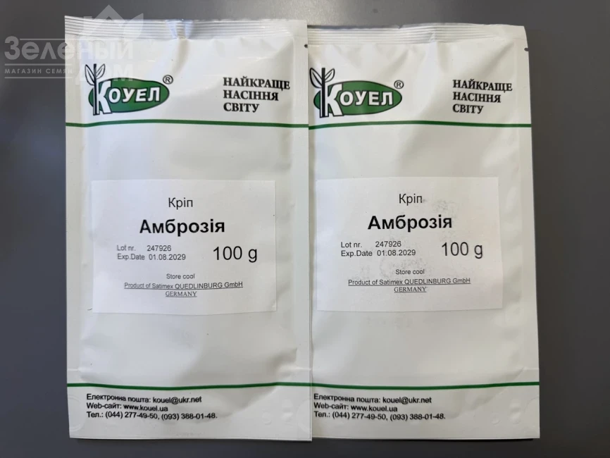 Амброзия / Ambrosia фото 2