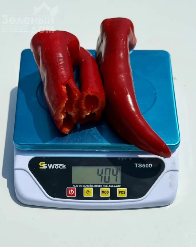 Милано F1 / Milano F1, 65-70 дней фото 3