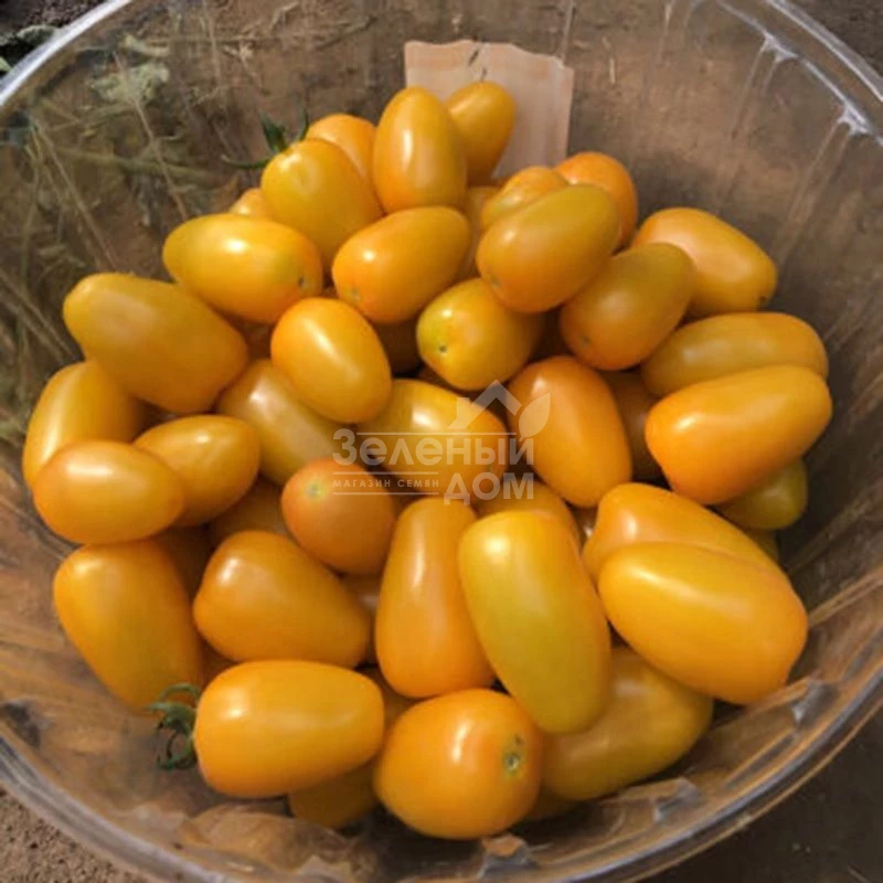 Еллоу Бидс F1 / Yellow Bids F1, 90 дней фото 1