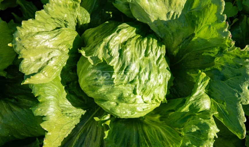 Данило / Danilo фото 2