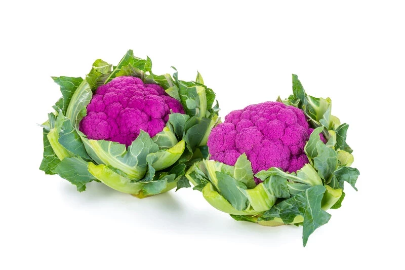 Лавендер F1 / Lavender F1, 65-90 дней фото 2