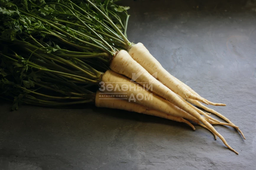 Игл / Eagl,135 дней фото 1