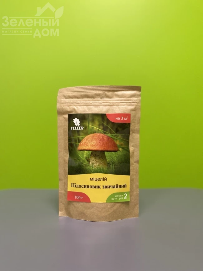 Подосиновик обыкновенный фото 1