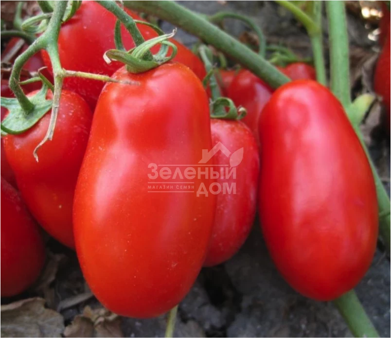 Флендер F1 / Flender F1 фото 1