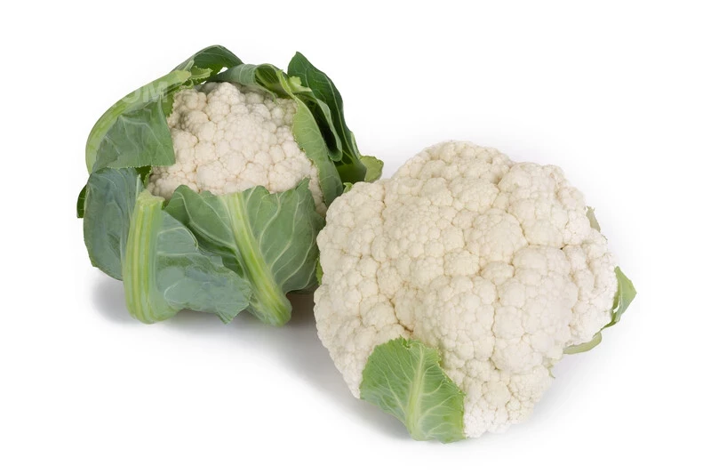 Пакстон F1 / Paxton F1, 85-90 дней фото 3