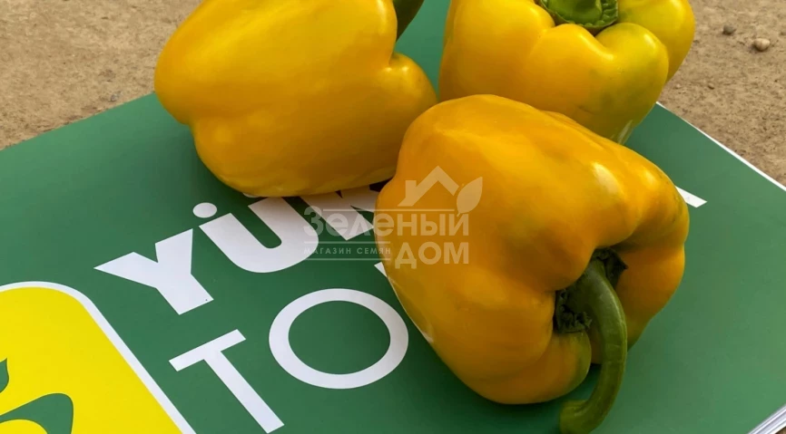 Дениз F1 / Deniz F1,68-72 дней фото 1