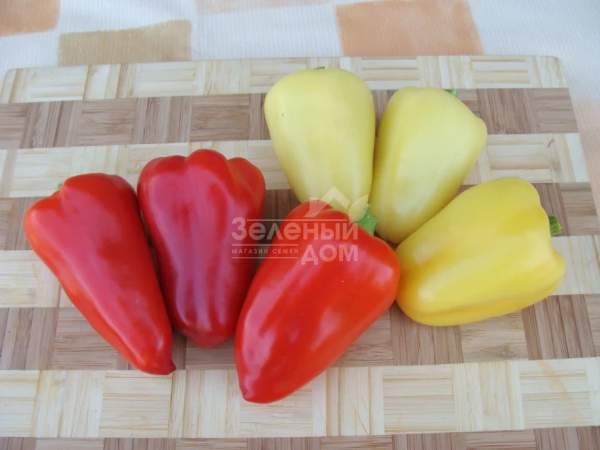 Злата / Zlata фото 1