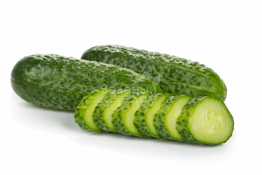 Бридж F1 / Bridge F1 фото 2