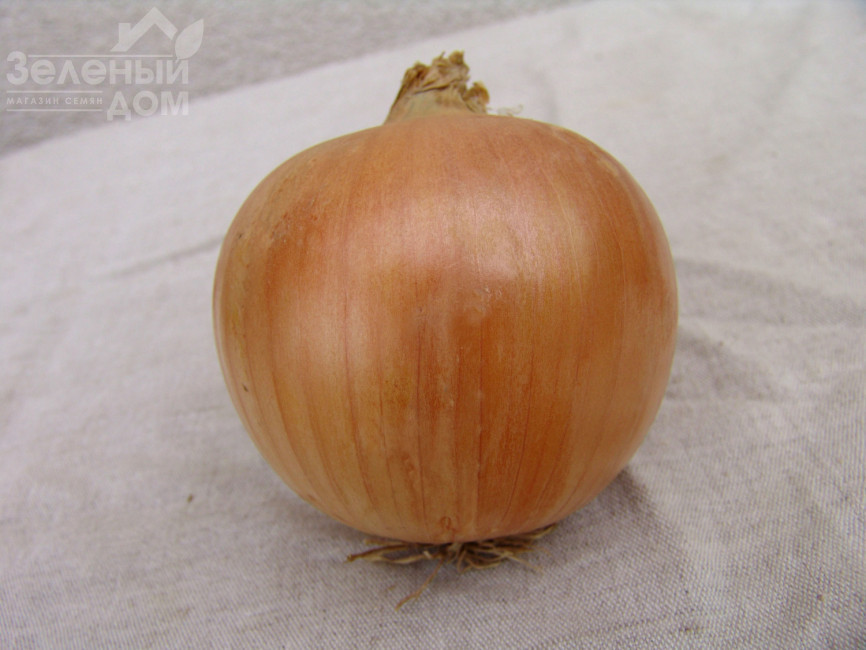 Уніко F1 / Uniko F1 фото 1