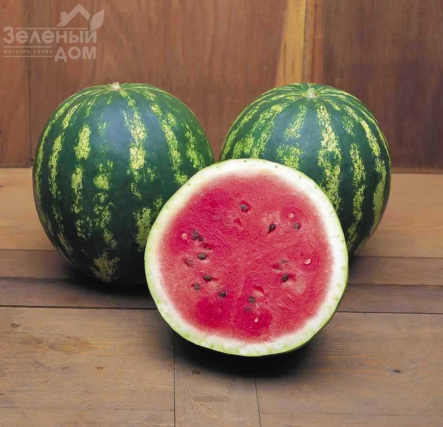 Кримсон Свит / Crimson Sweet, 80-85 дней фото 1