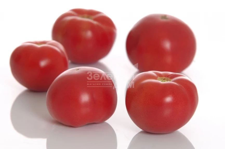 Пинк Мун F1 / Pink Moon F1 фото 2