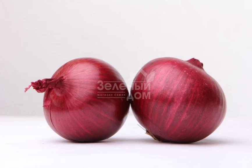 Рубиред F1 / Rubired F1 фото 1