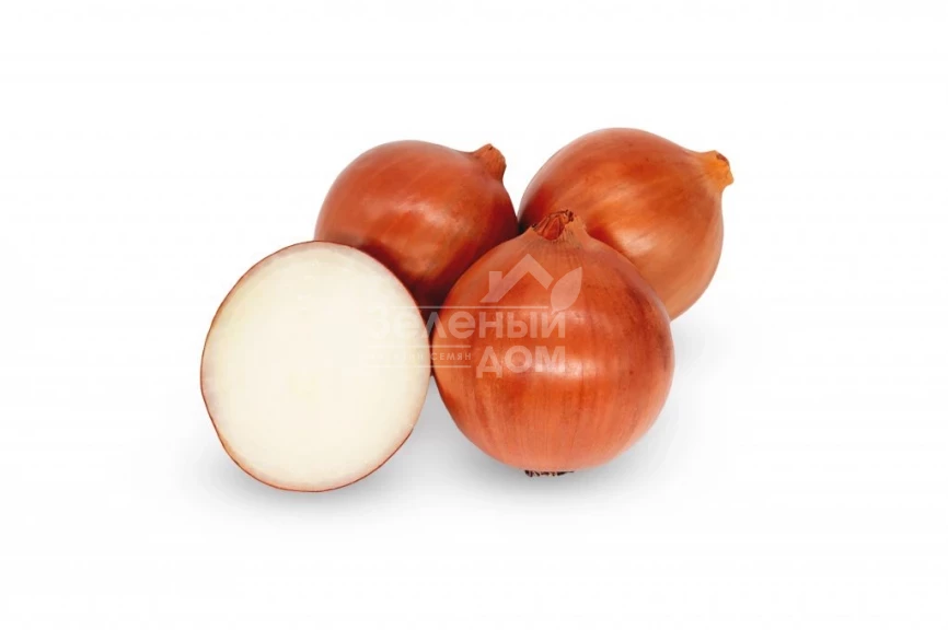 Магика F1 / Magica F1 фото 1