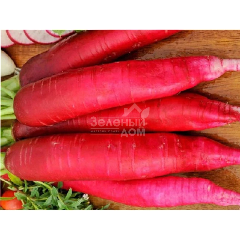 Кармина / Karmina,40-50 дней фото 1