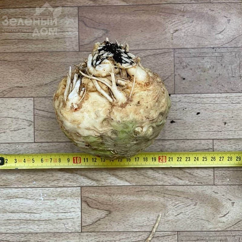 Вольт F1 / Volt F1 фото 2