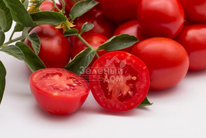 Чезена F1 / Chezena F1, 85-95 дней фото 3