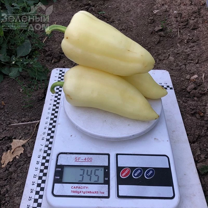 Бора F1 / Bora F1,50 дней фото 4