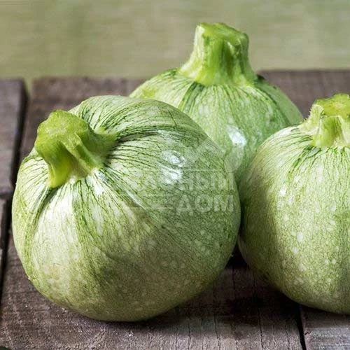 Раунд Бьюти  F1 / Round Beauty F1 фото 1