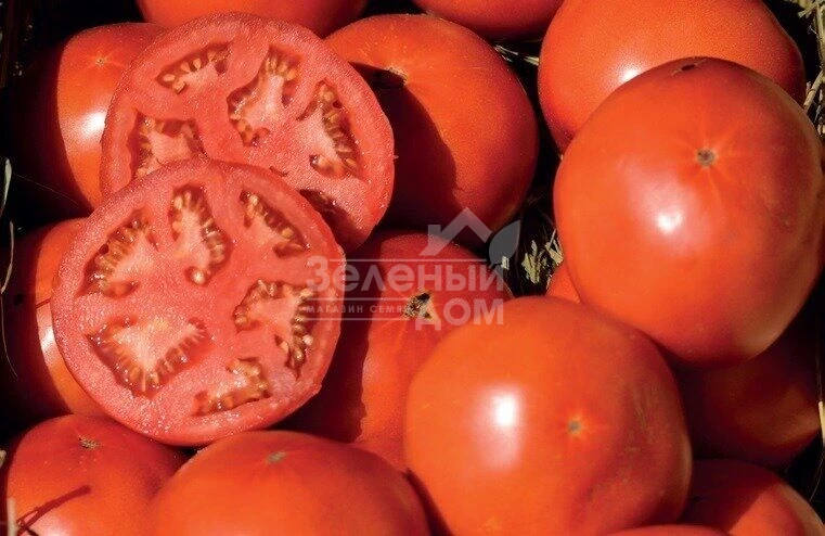 Майсалун F1 / Maysalun F1,105-115 дней фото 1