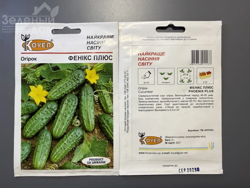 Феникс Плюс / Feniks Plyus фото 1