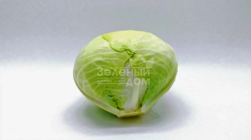 Тайсон F1 / Tayson F1, 105-110 дней фото 3