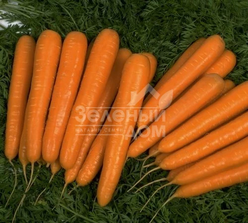 Апперкат F1 / Appercat F1,110 дней фото 1