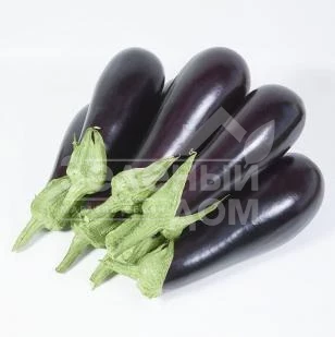 КС 1258  F1 / KS 1258  F1 фото 1