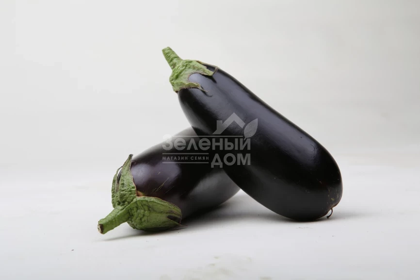 Антрацит F1 / Antratsyt F1,85-95 дней фото 2