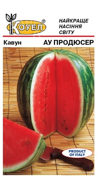 Ау Продюсер / AU Producer, 70-75 дней фото 3