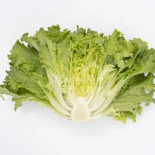 Аннисол / Annisol  фото 3