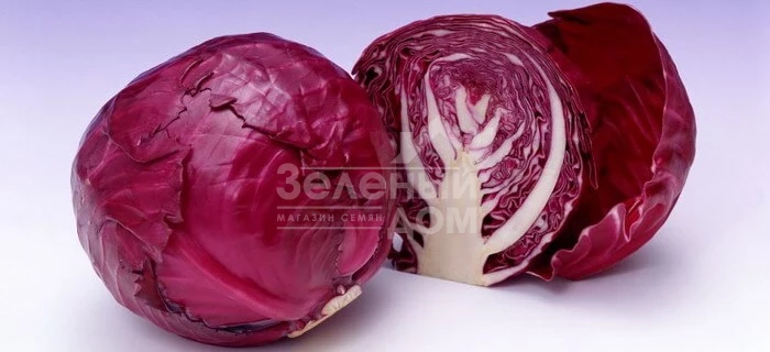 Редма F1 / Redma F1,80 дней фото 2