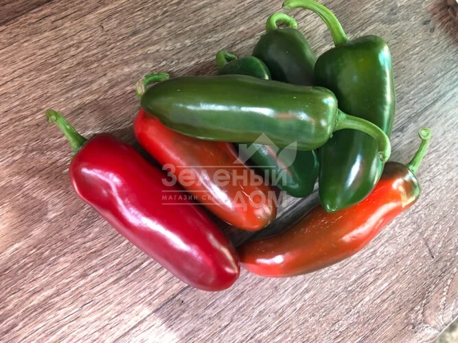 Джин F1 / Dzhyn F1, 60 дней фото 1