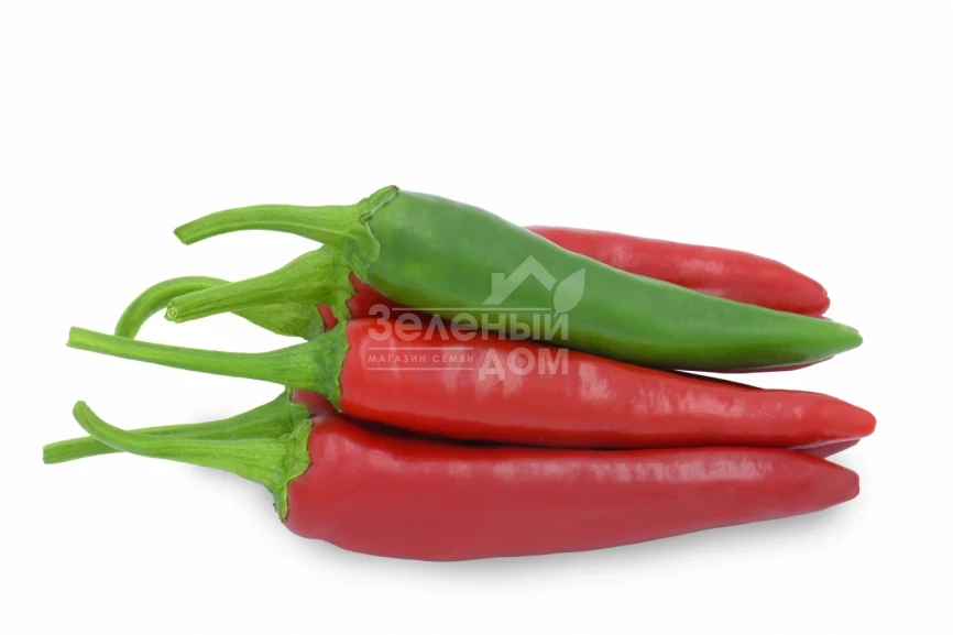 Фоно F1 / Fono F1, 95-110 дней фото 1