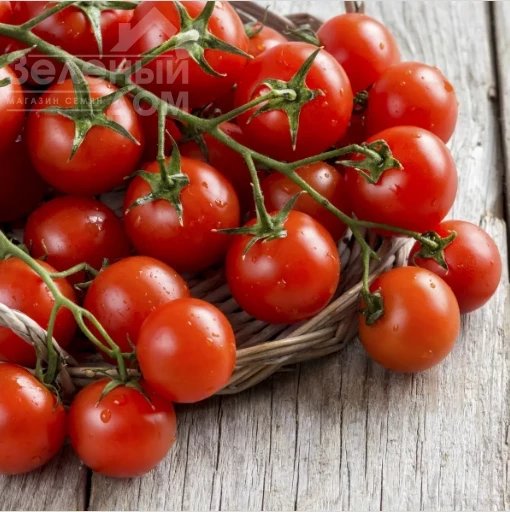 Моншери F1 / Monsheri F1 фото 1