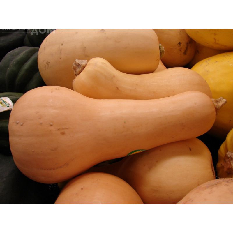 Волтгем батернат F1 / Voltgem baternat F1,120 днів фото 1