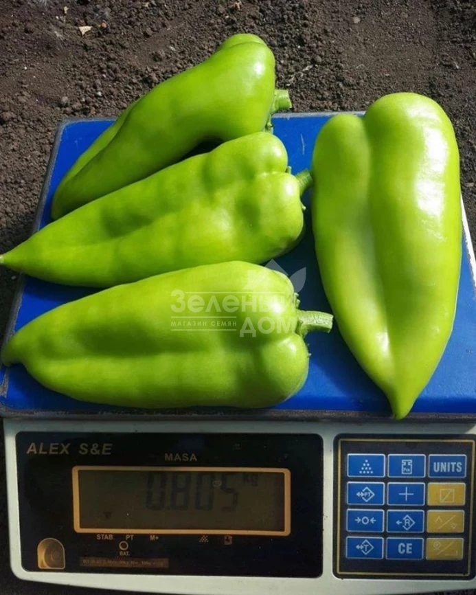 Ариадни F1 / Ariadni F1,65-70 дней фото 2