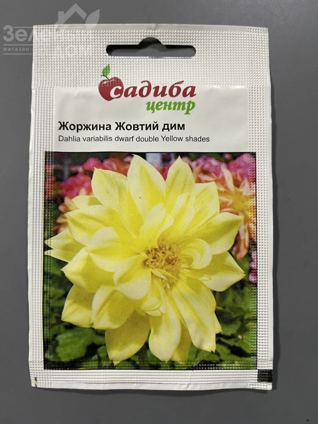 Георгина Желтый дым фото 1