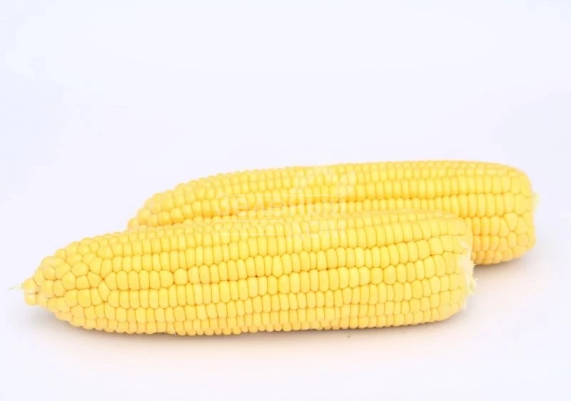 Баха F1 / Baha F1,70-74 дня фото 1