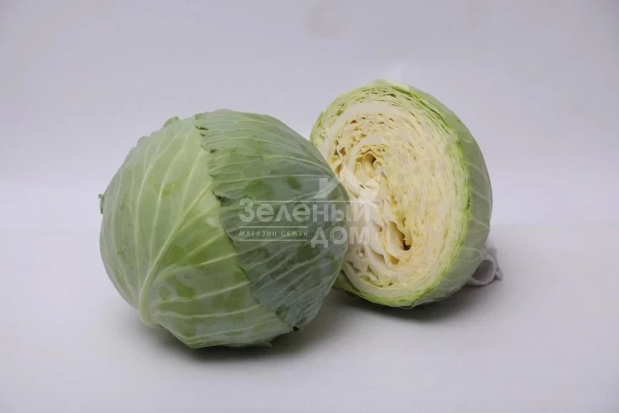 Виконт F1 / Vikont F1 фото 2