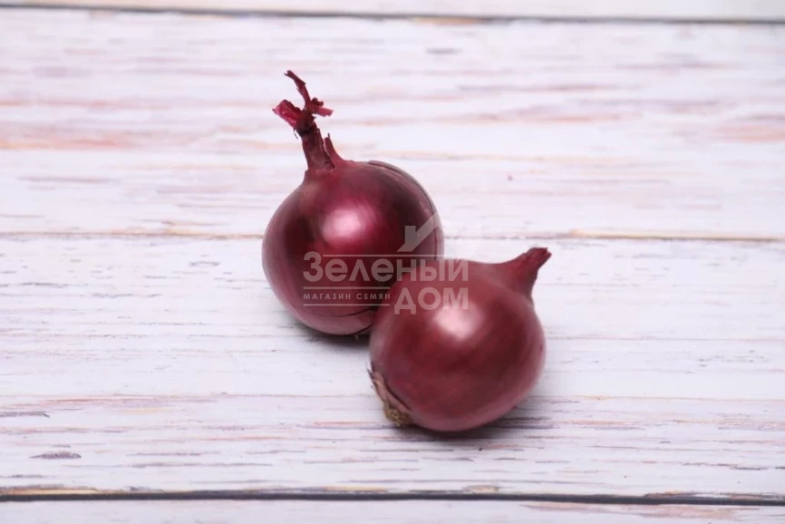 Тимур F1 (LS 5612) / Timur F1 (LS 5612) фото 3