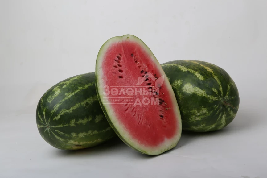 ЛС 1807 F1 / LS 1807 F1 фото 1