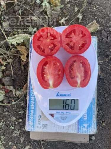 6107 F1 / 6107 F1 фото 3