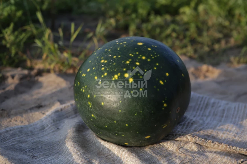 Звездное небо F1 / Zvezdnoe nebo F1 фото 2