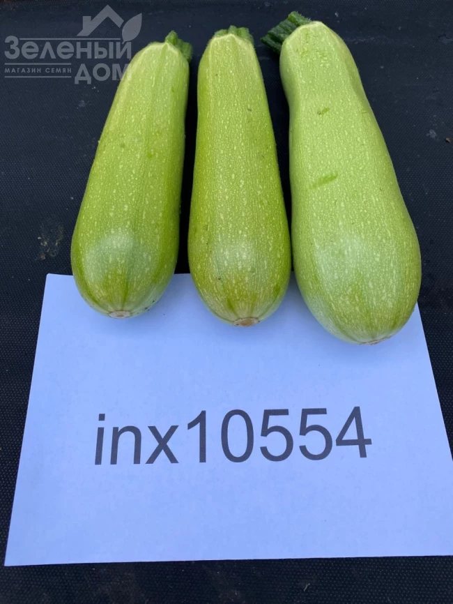 Мерлин (INX 10554) F1 / Merlin (INX 10554) F1 фото 3