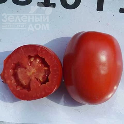 ЯГ 8810 F1 / JAG 8810 F1,115-120 дней фото 2