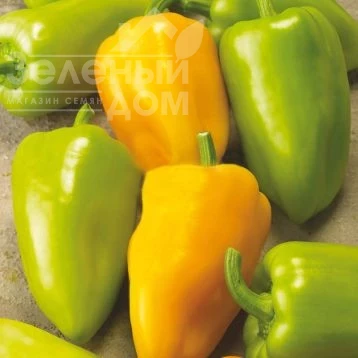 Голдус F1 / Goldus F1, 60-70 дней фото 1