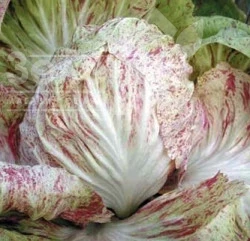 Луция / Lucia, 60 дней фото 1