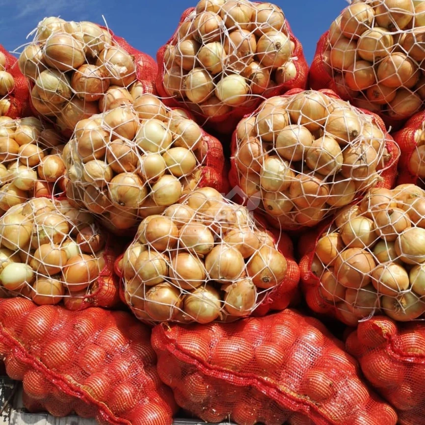 Бур-Топ / Bur-Top, 105-115 дней фото 1