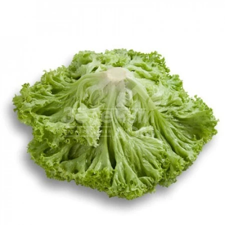 Локарно / Locarno фото 2